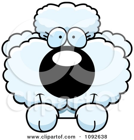Clipart Cute White Poodle Puppy Looking Over A Surface - Royalty Free Vector Illustration by Cory Thoman