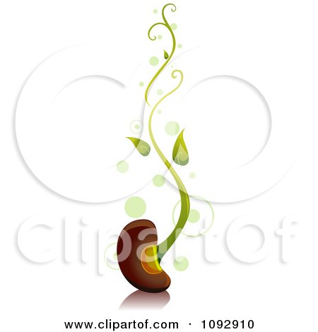 Clipart Sprouting Bean With Green Spots - Royalty Free Vector Illustration by BNP Design Studio