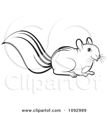 Clipart Black And White Squirrel - Royalty Free Vector Illustration by Lal Perera