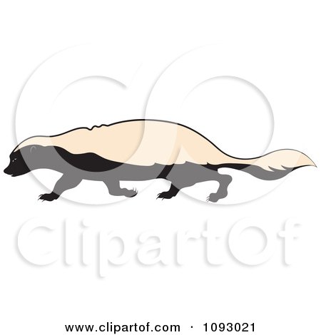 Clipart Walking Honey Badger - Royalty Free Vector Illustration by Lal Perera
