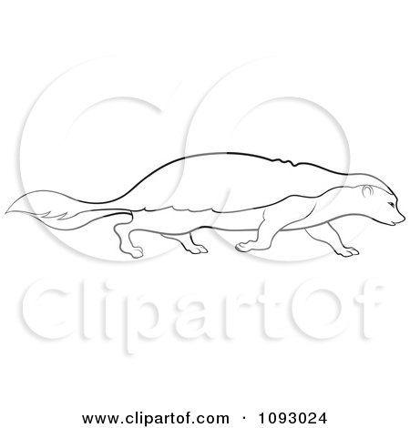 Clipart Outlined Walking Honey Badger - Royalty Free Vector Illustration by Lal Perera