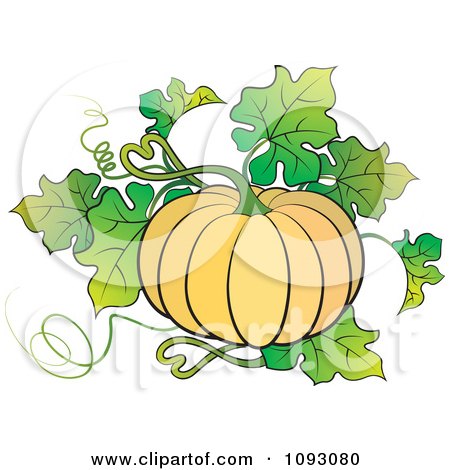 Pumpkin Plant Bearing Flowers Ripe Pumpkin Stock Vector (Royalty Free)  1130775986 | Shutterstock