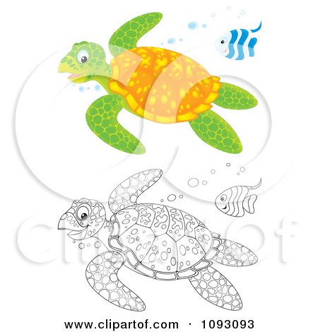 Clipart Colored And Outlined Swimming Sea Turtles And Fish - Royalty Free Illustration by Alex Bannykh