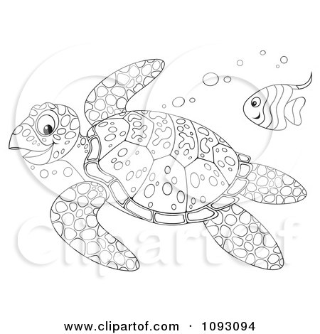 Clipart Outlined Swimming Sea Turtle And Fish - Royalty Free Illustration by Alex Bannykh