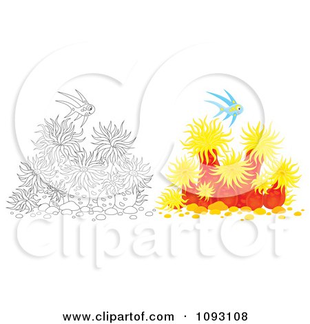 Clipart Colored And Outlined Fish Over Sea Anemones - Royalty Free Illustration by Alex Bannykh