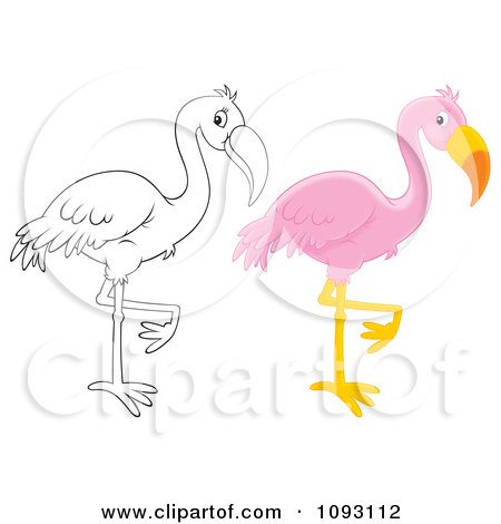 Clipart Outlined And Colored Flamingos Balanced On One Leg - Royalty Free Illustration by Alex Bannykh