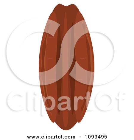 Clipart Pecan - Royalty Free Vector Illustration by Randomway