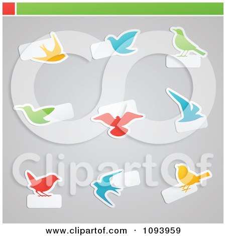 Clipart Orange Blue Green And Red Bird Icons With Copyspace - Royalty Free Vector Illustration by elena