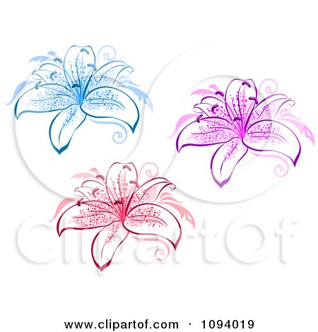 Clipart Blue Pink And Red Lily Flowers - Royalty Free Vector Illustration by Vector Tradition SM