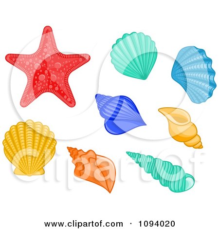 Clipart Colorful Sea Shells And A Starfish - Royalty Free Vector Illustration by Vector Tradition SM