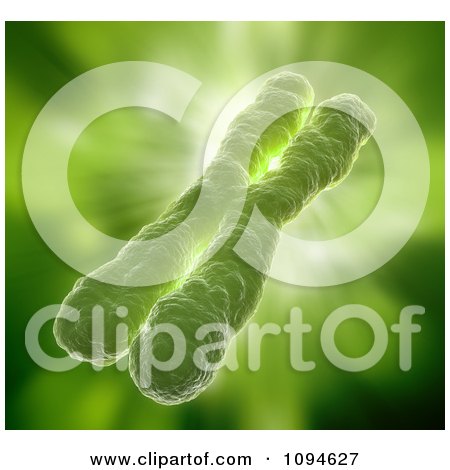 Clipart 3d Green Human Chromosome - Royalty Free CGI Illustration by Mopic
