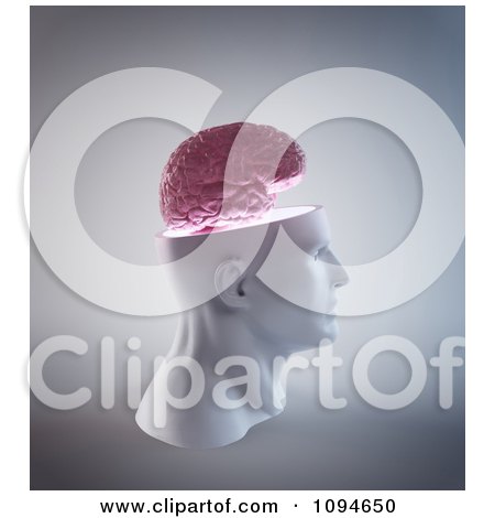 Clipart 3d Profiled Head With A Floating Brain - Royalty Free CGI Illustration by Mopic
