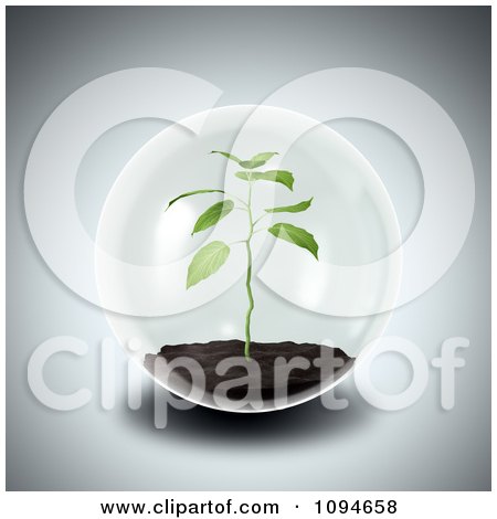 Clipart 3d Seedling Plant Growing In A Sphere - Royalty Free CGI Illustration by Mopic