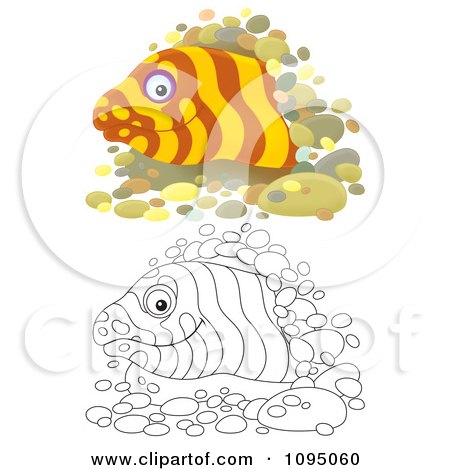 Clipart Outlined And Colored Moray Eels Peeking From Holes - Royalty Free Illustration by Alex Bannykh