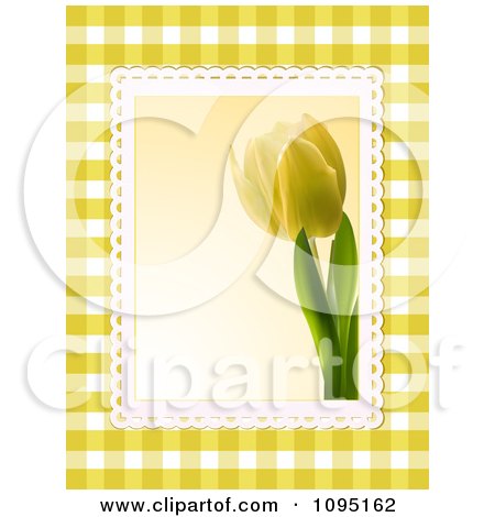 Clipart 3d Yellow Tulip And Lace Over Gingham - Royalty Free Vector Illustration by elaineitalia
