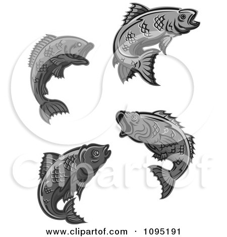 Clipart Grayscale Fish - Royalty Free Vector Illustration by Vector Tradition SM