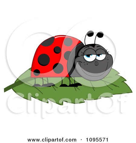 Clipart Happy Grinning Ladybug On A Leaf - Royalty Free Vector Illustration by Hit Toon