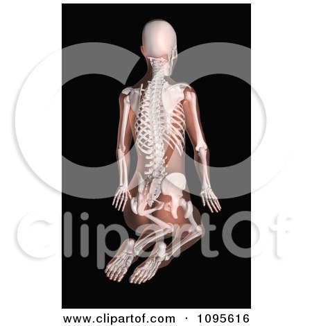 Clipart 3d Female Medical Skeleton Kneeling In A Yoga Position - Royalty Free CGI Illustration by KJ Pargeter