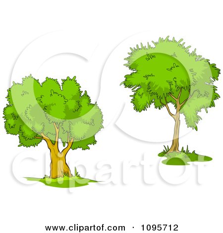 Clipart Two Mature Trees 3 - Royalty Free Vector Illustration by Vector Tradition SM