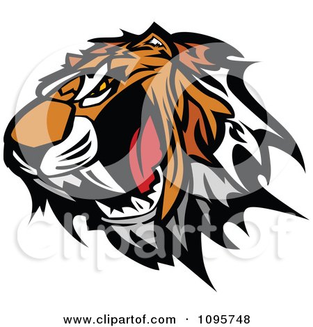 Clipart Angry Tiger Mascot Head Baring Teeth - Royalty Free Vector Illustration by Chromaco