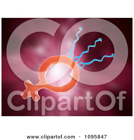 Clipart 3d Sperm And A Female Gender Symbol Egg Over Red - Royalty Free CGI Illustration by Mopic