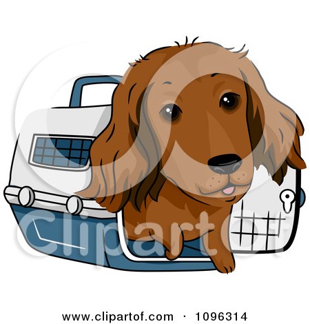 Clipart Happy Long Haired Dachshund Dog In A Pet Carrie - Royalty Free Vector Illustration by BNP Design Studio