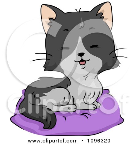 Clipart Cute Tuxedo Cat Sitting On A Pillow Bed - Royalty Free Vector Illustration by BNP Design Studio
