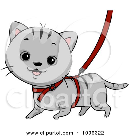 Clipart Cute Gray Cat Walking On A Leash And Harness - Royalty Free Vector Illustration by BNP Design Studio