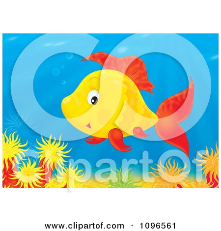 Clipart Happy Orange And Red Fish Over A Coral Reef - Royalty Free Illustration by Alex Bannykh