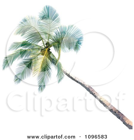 Clipart 3d Palm Tree - Royalty Free Vector Illustration by dero