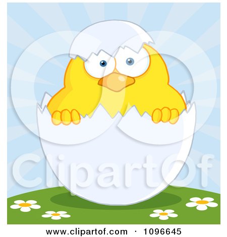 Clipart Yellow Easter Chick In A Shell On A Hill - Royalty Free Vector Illustration by Hit Toon