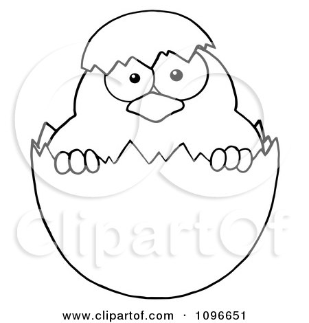 Clipart Outlined Easter Chick In A Shell - Royalty Free Vector Illustration by Hit Toon