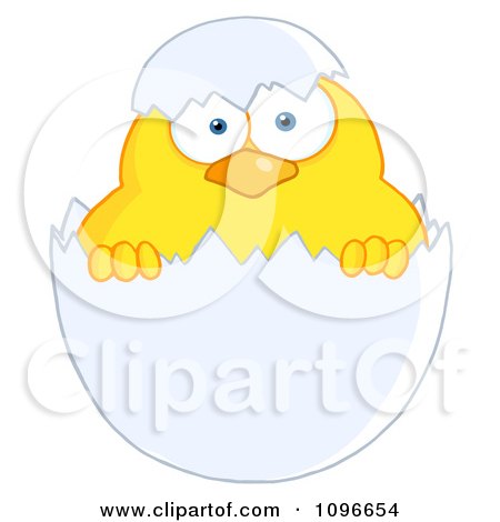 Clipart Yellow Easter Chick In A Shell - Royalty Free Vector Illustration by Hit Toon