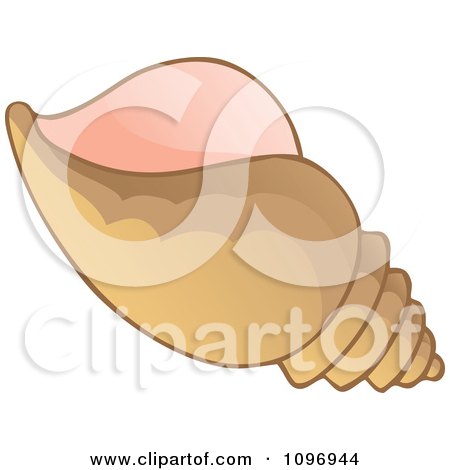 Clipart Brown Conch Shell - Royalty Free Vector Illustration by visekart