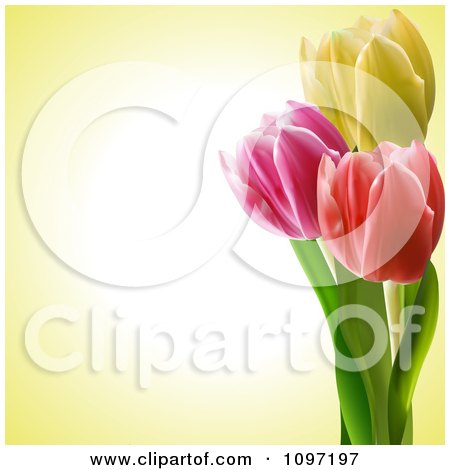 Clipart Colorful Tulips Bordering A Pastel Yellow Background With Copyspace - Royalty Free Vector Illustration by elaineitalia