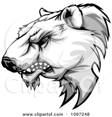 Clipart Aggressive Polar Bear Mascot Head Growling - Royalty Free Vector Illustration by Chromaco