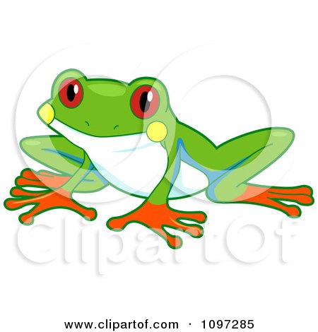 Clipart Cute Red Eyed Tree Frog - Royalty Free Vector Illustration by BNP Design Studio