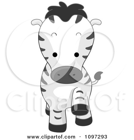 Clipart Cute Zebra Walking Forward - Royalty Free Vector Illustration by BNP Design Studio