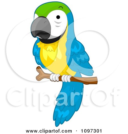 Clipart Cute Macaw Parrot Perched On A Branch - Royalty Free Vector Illustration by BNP Design Studio