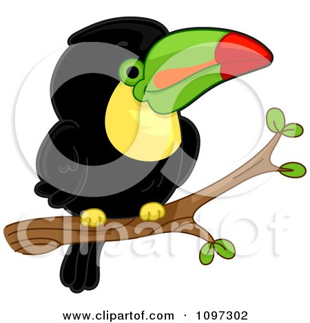 Clipart Cute Toucan Perched On A Branch - Royalty Free Vector Illustration by BNP Design Studio