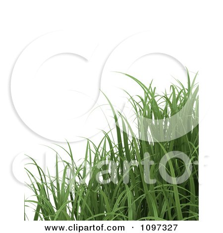 Clipart Background Of 3d Grass Blades - Royalty Free CGI Illustration by KJ Pargeter