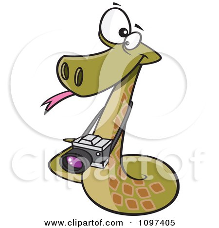 Clipart Green Viper Photographer Snake With A Camera - Royalty Free Vector Illustration by toonaday