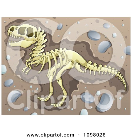 Clipart Excavated Tyrannosaurus Rex Dinosaur Skeleton In Dirt - Royalty Free Vector Illustration by visekart