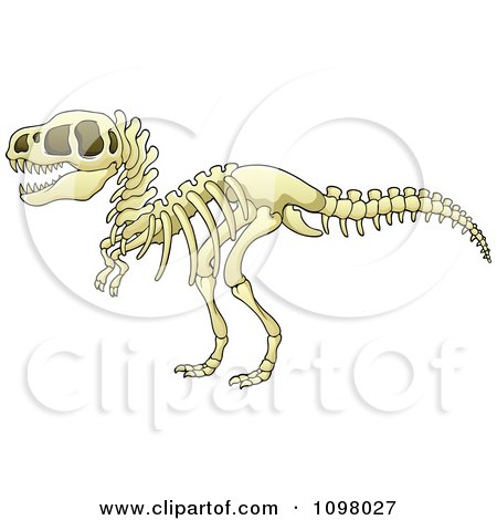 Clipart Tyrannosaurus Rex Dinosaur Skeleton - Royalty Free Vector Illustration by visekart