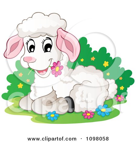 Clipart Cute White Lamb Resting And Eating A Daisy - Royalty Free Vector Illustration by visekart