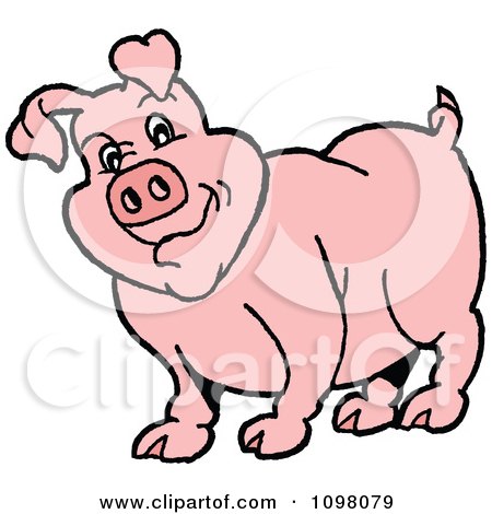 Clipart Chubby Pink Pig Cocking His Head - Royalty Free Vector Illustration by LaffToon