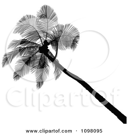 Clipart Silhouetted Coconut Palm Tree Leaning To The Left - Royalty Free Vector Illustration by dero