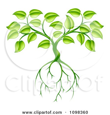 Clipart Green Plant With Leaves And Deep Roots - Royalty Free Vector Illustration by AtStockIllustration
