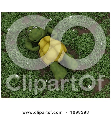 Clipart 3d Happy Relaxed Tortoise Resting On His Back In Grass With Daisies - Royalty Free CGI Illustration by KJ Pargeter
