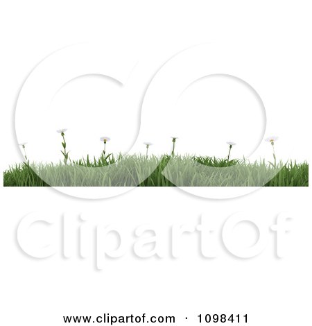Clipart 3d Border Of Wild Daisy Flowers In Green Grass - Royalty Free CGI Illustration by KJ Pargeter